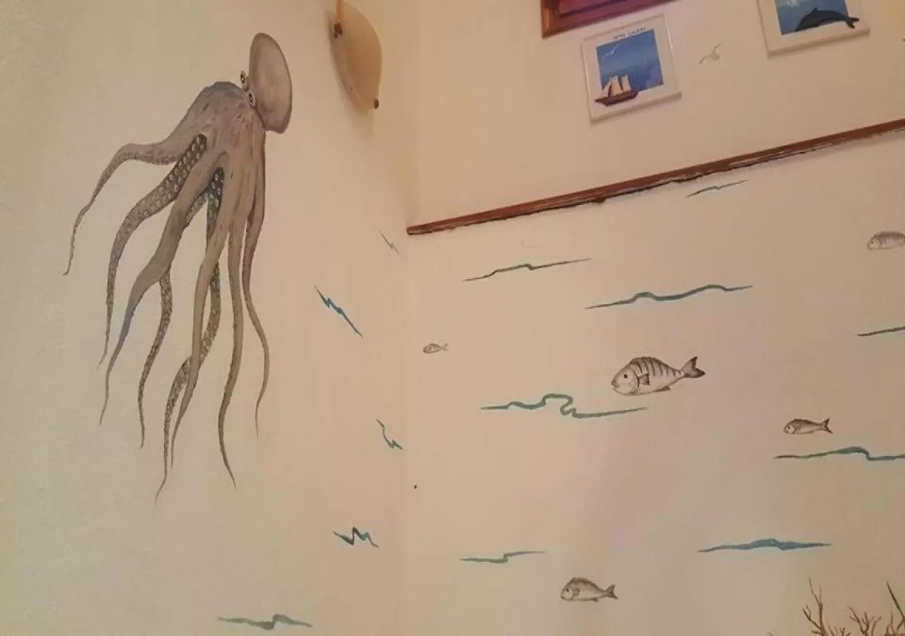 אמוליאני Gallery